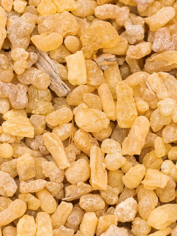 Boswellia (Frankincense)
