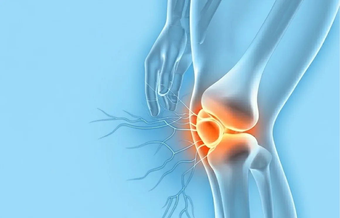 Delivers Magnesium Where You Need It